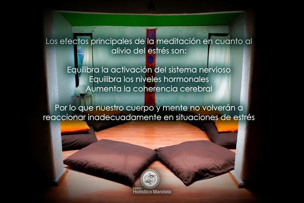 Mi Aldea Holistica Hotel Mexikóváros Kültér fotó